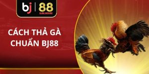 Cách thả gà đá chuẩn BJ88
